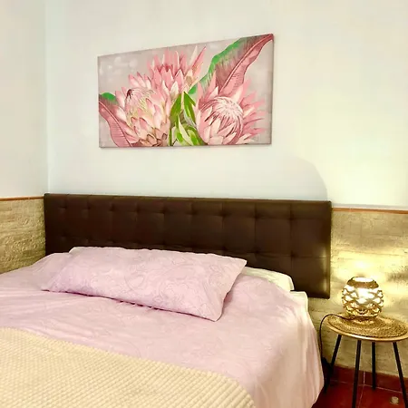 Casa Buganvilla Πανσιόν 3*