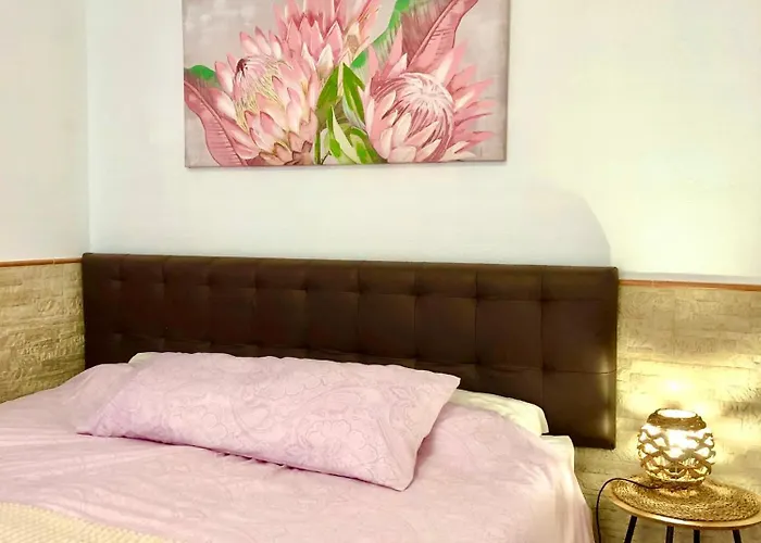 Casa Buganvilla Guest house 3*