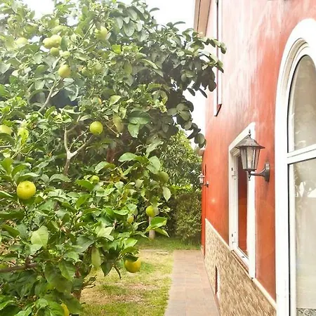 בית הארחה Casa Buganvilla לוס ריאלחוס