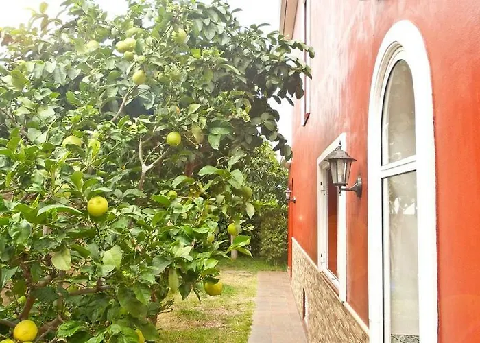 بيت ضيافة Casa Buganvilla لوس رياليخوس